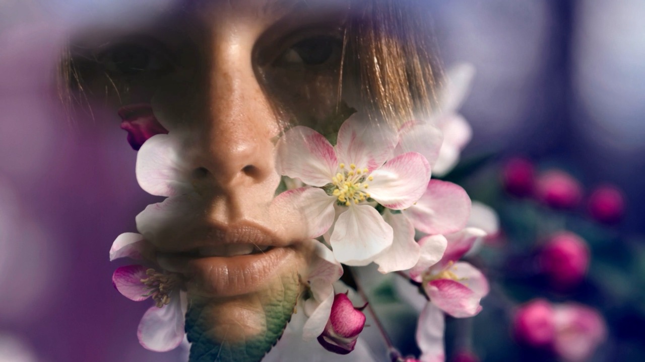 The Mask Draw effect applied to the reference frame