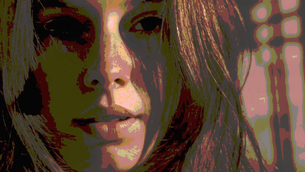The Posterize effect applied to the reference frame
