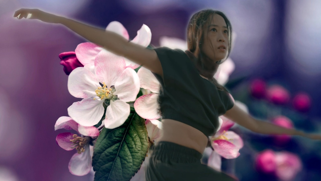 The Remove Background effect applied to the reference frame